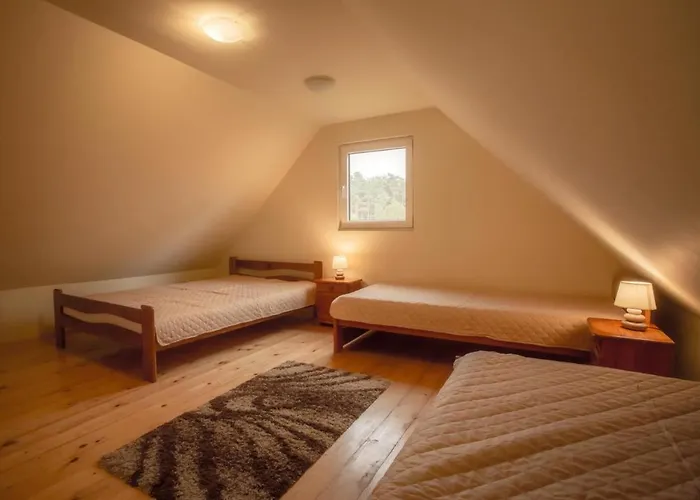 Dolpakart * 博格泽利卡