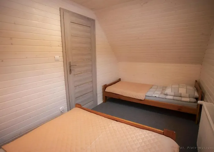 Dolpakart 博格泽利卡