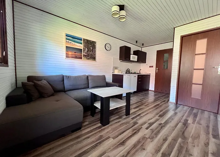 Dolpakart * 博格泽利卡